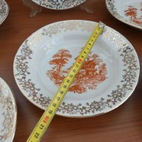 Стар български порцелан чинии, снимка 4 - Антикварни и старинни предмети - 33281698