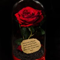 Вечна роза в голяма стъкленица - Стилен подарък за рожден ден на жена / Уникален подарък за юбилей, снимка 2 - Декорация за дома - 19454247