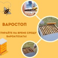 Варостоп, снимка 5 - За пчели - 27961894
