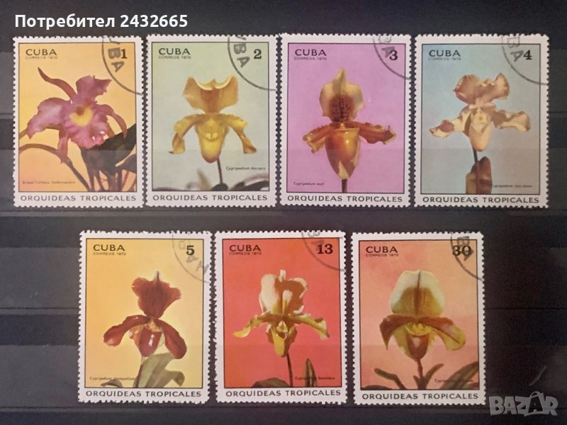1155. Куба 1972 = “ Флора. Тропически Орхидеи “ , снимка 1