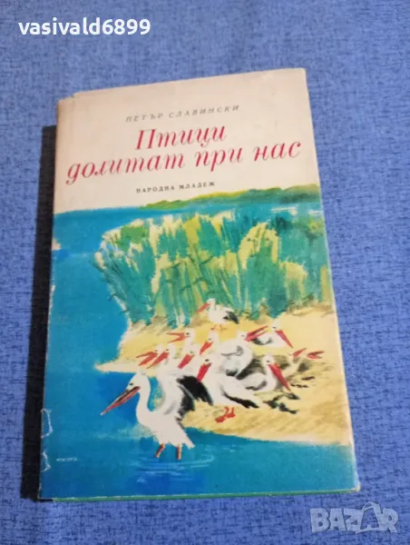 Петър Славински - Птици долитат при нас , снимка 1