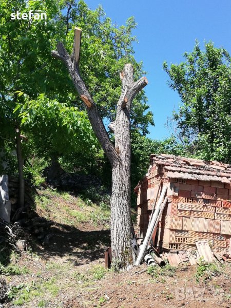 Орехов материал, снимка 1