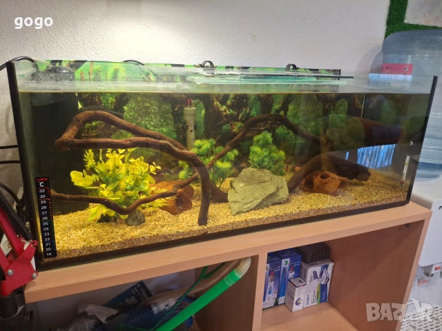 Корен за Аквариум , снимка 2 - Оборудване за аквариуми - 52511615