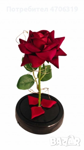 Красива осветена роза в стъкленица с красива подаръчна кутия 