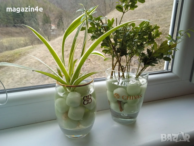 Чаша с  300 грама полускъпоценни камъни и цвете,Кристали и Минерали,