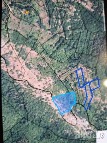 Продавам земеделска земя с. Ваксево,област Кюстендил