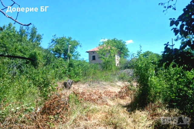 Панорамен парцел с характер и готов потенциал – 1 265 кв.м, снимка 4 - Парцели - 53191658