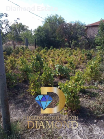 Двуетажна къща в село Голямо Асеново, общ. Димитровград, снимка 5 - Къщи - 52074415