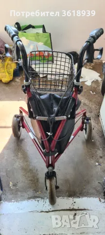 Проходилка английска, снимка 2 - Други - 49929440