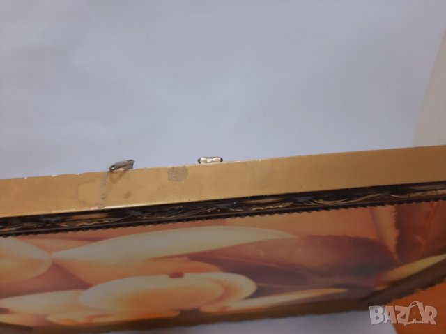 Картина платно, арт принт - праскови, в рамка(3.4), снимка 3 - Картини - 43527765