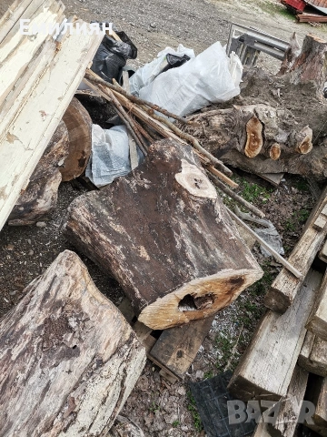 орех, снимка 3 - Декорация за дома - 53585524