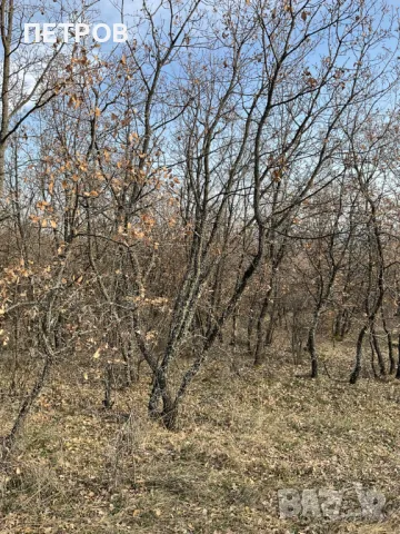 Продава ПАРЦЕЛ, снимка 5 - Парцели - 40138240