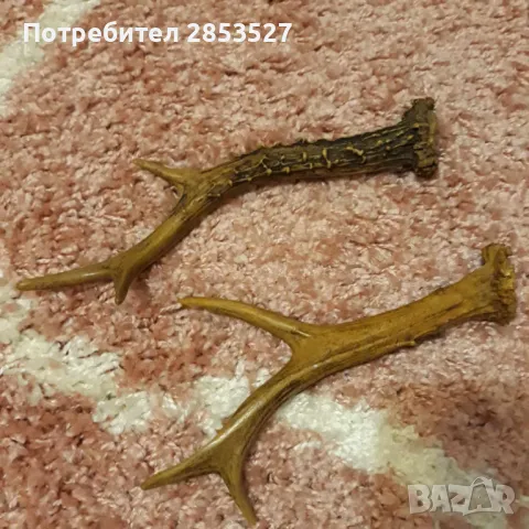 Еленски Рога, снимка 3 - Други - 47484354