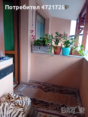 Апартамент под наем за нощувки в гр. Петрич, снимка 5 - Квартири, нощувки - 53257199