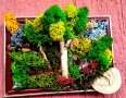 Картини със скандинавски мъх и естествени материали , снимка 4