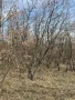 Продава ПАРЦЕЛ, снимка 5