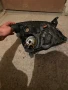 Ляв фар за Opel Vectra C 1.8 16V, снимка 3