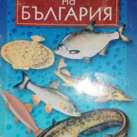 Рибите на България .За любителя риболовец -Максим Николов, снимка 1 - Българска литература - 36530813