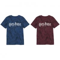 Детска тениска Harry Potter 9, 10, 11, 12, 13, 14 г. - М3-4 момче, снимка 1 - Детски тениски и потници - 33012566