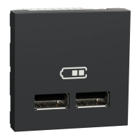 Продавам Двойно USB зарядно тип А, 2M антрацит SCHNEIDER ELECTRIC Unica NEW, снимка 1 - Други - 44879019
