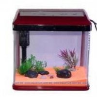 Нано аквариум за рибки 4 литра с капак осветление и филтрираща помпа, снимка 2 - Аквариуми - 27697116