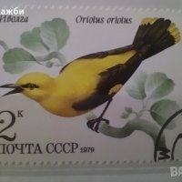 Красива антична колекция пощенски марки с птици от 1979 г., снимка 2 - Филателия - 43415035