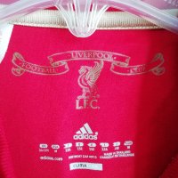 Liverpool Adidas оригинална детска фланелка тениска Ливърпул , снимка 5 - Детски тениски и потници - 36854837