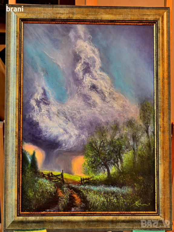 " дъждовно" , снимка 1