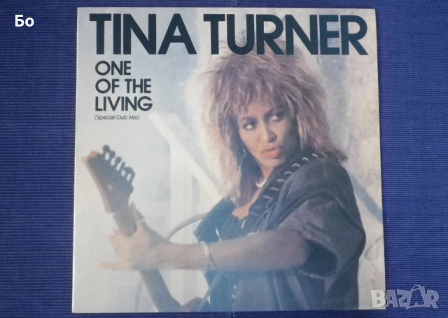 грамофонни плочи Tina Turner, снимка 17 - Грамофонни плочи - 52315211