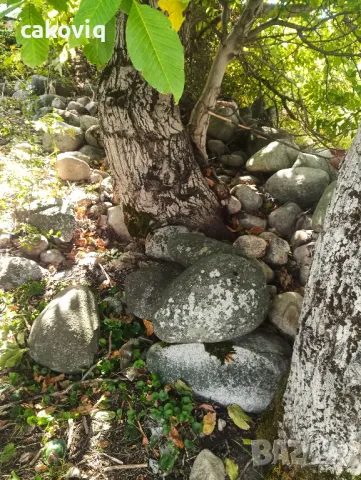 Подарявам камъни, снимка 3 - Строителни материали - 47461777