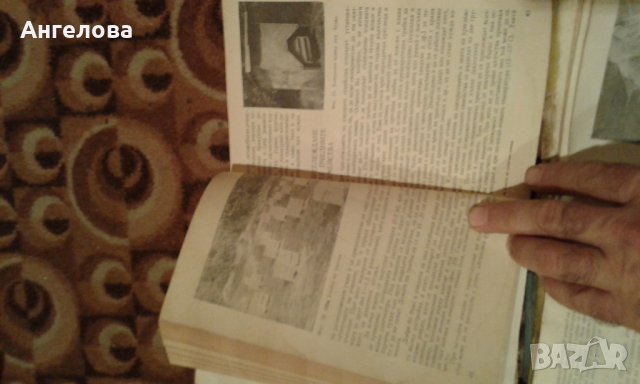 Книги за пчеларя, снимка 4 - Специализирана литература - 27083625