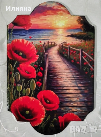 ПАНА, снимка 11 - Пана - 52078211