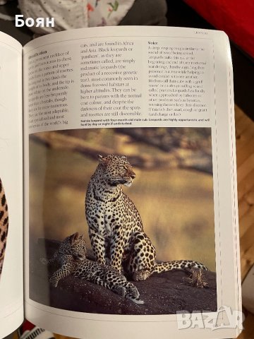 Jonathan Scott's Safari Guide to East African Animals, снимка 5 - Енциклопедии, справочници - 42998230