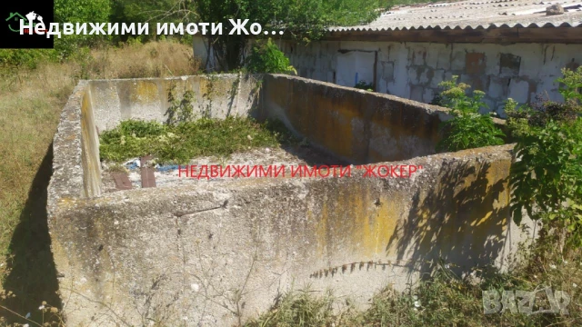 Животновъдна ферма с двуетажна къща в село Родина, снимка 14 - Къщи - 51421040