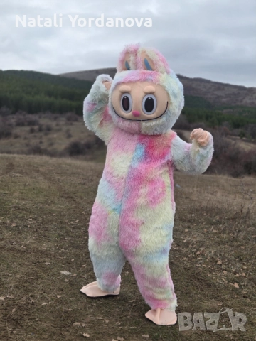 Маскоти за вашето парти, снимка 10 - Детегледачки, детски центрове - 52153498