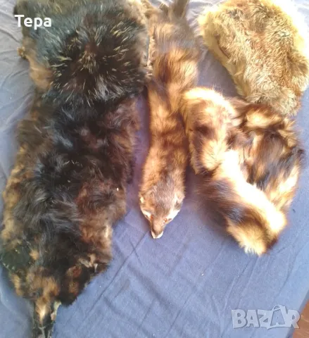 Кожени шапки и яки, снимка 3 - Други - 48861000