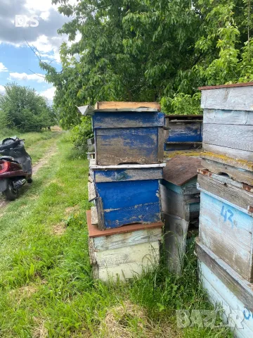 Продавам кошери , снимка 5 - За пчели - 50269935
