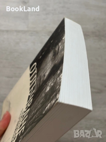 Отлъчване – Николай Терзийски , снимка 4 - Художествена литература - 53295922