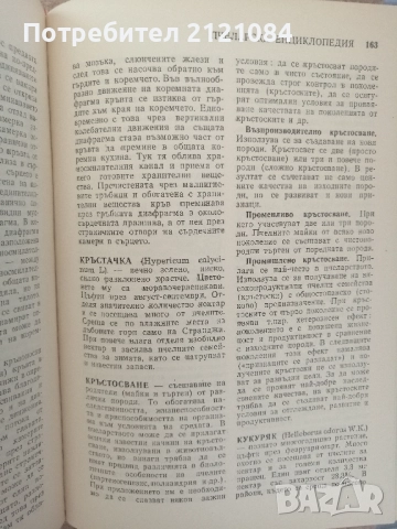Пчеларска енциклопедия , снимка 7 - Специализирана литература - 51709781