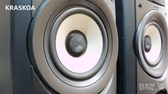 SONY SA-EX100, снимка 11 - Тонколони - 48119015