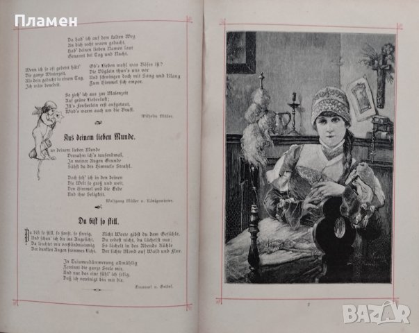 Книга на старонемски език /1860/, снимка 4 - Антикварни и старинни предмети - 44015807