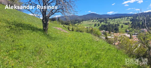 Продава имот в с. Стойките, снимка 3 - Парцели - 49994973