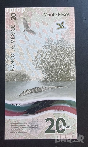 Мексико.
Юбилейна.
20 песо.
2021година.
UNC. Полимер., снимка 2 - Нумизматика и бонистика - 43029454