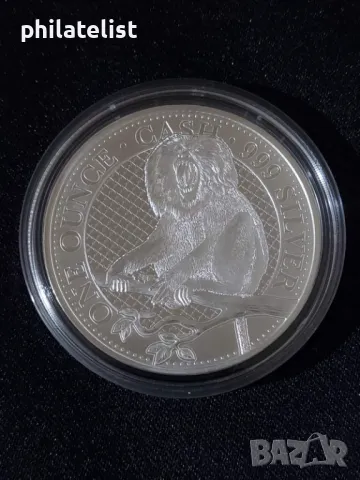 Света Елена 2023 – един паунд  - Гривест макак , маймуна - 1 OZ - Сребърна монета, снимка 2 - Нумизматика и бонистика - 50048689