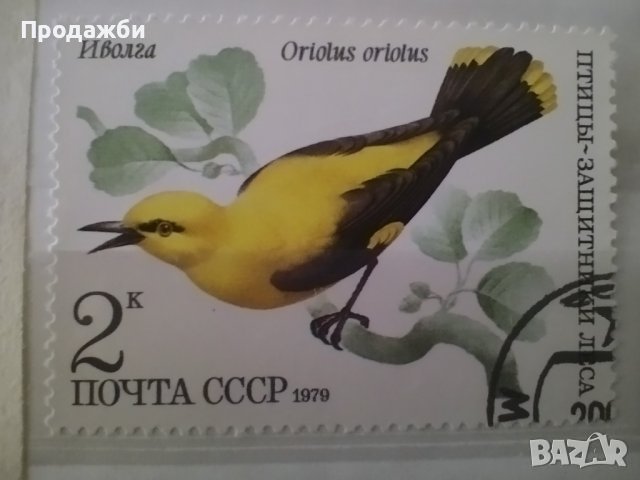 Красива антична колекция пощенски марки с птици от 1979 г., снимка 2 - Филателия - 43415035