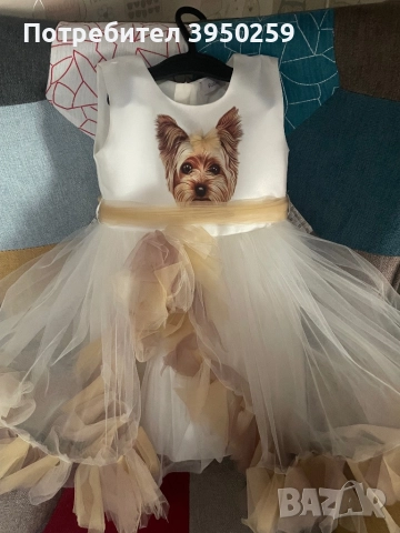 Бутикови дрехи за принцеси, снимка 2 - Детски рокли и поли - 52468494