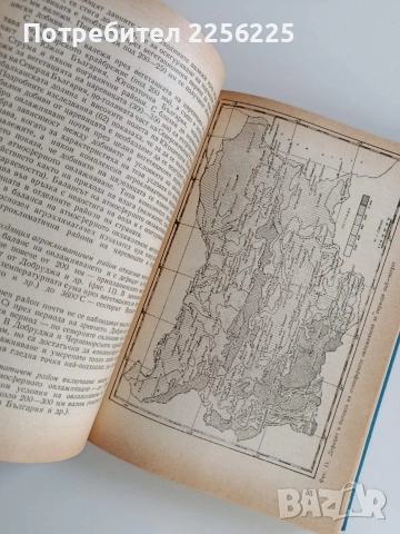 Отглеждане на хибридните царевици, снимка 8 - Части - 53043848