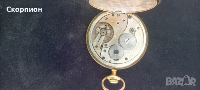 Швейцарски джобен часовник - 10 РУБИНА - ПРОМОЦИЯ, снимка 5 - Джобни - 48554694