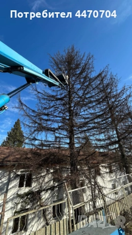 Вишка под наем с оператор, снимка 2 - Транспорт под наем - 52413041