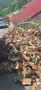 Дърва за Огрев Нарязани Нацепени , снимка 2